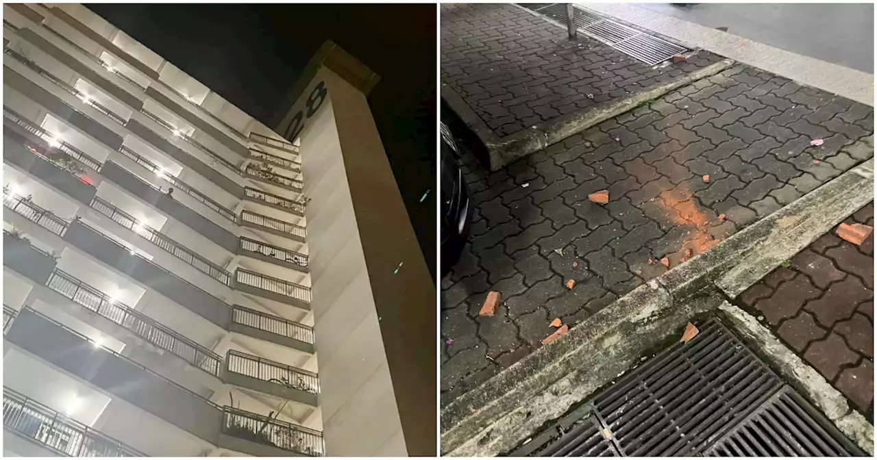 Killer litter: Singapore man reported for hurling bricks from the 8th floor in Jalan Bukit Merah