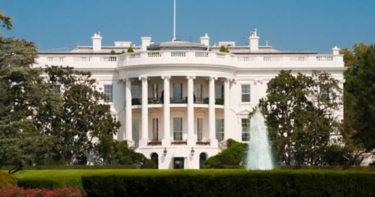 Toddler slips through fence onto White House grounds