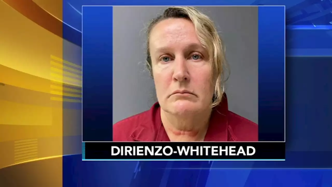 Mental health evaluation ordered for Ruth DiRienzo-Whitehead, mom accused of murdering son