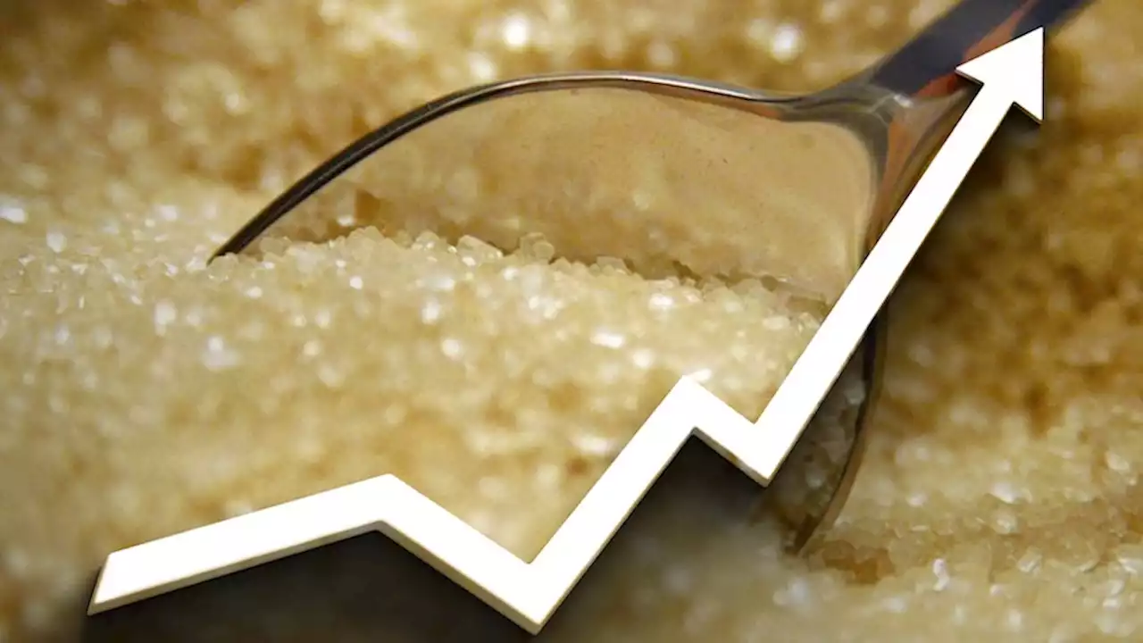 Sugar prices skyrocket as growers eye 'once-in-a-generation' payday