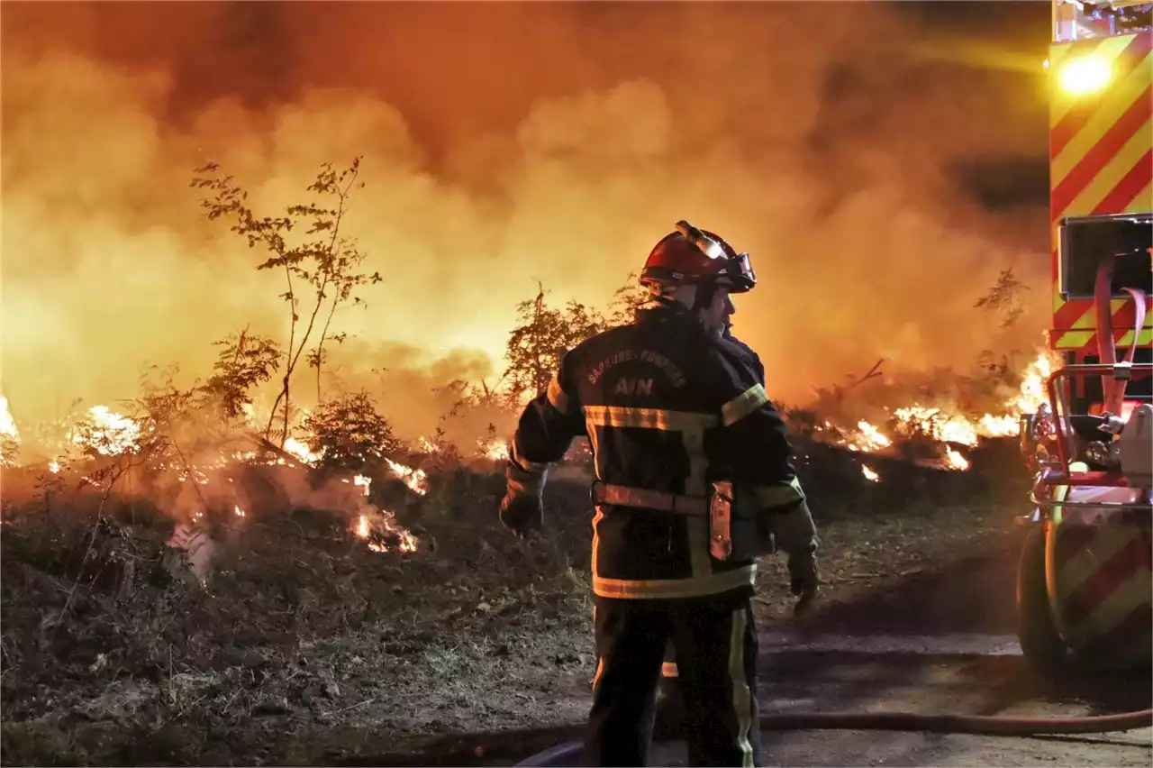 Feux de forêt : les incendies de l'été 2023 seront-t-ils pires qu'en 2022 ?