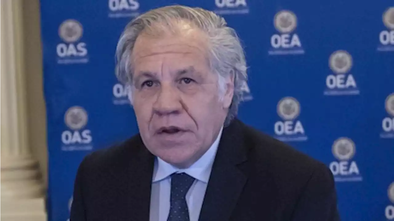 Almagro violó 'obligaciones éticas' de OEA por la relación con una subalterna