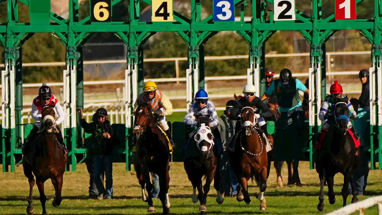 Historic north Phoenix horse track Turf Paradise to be sold, developed by California group