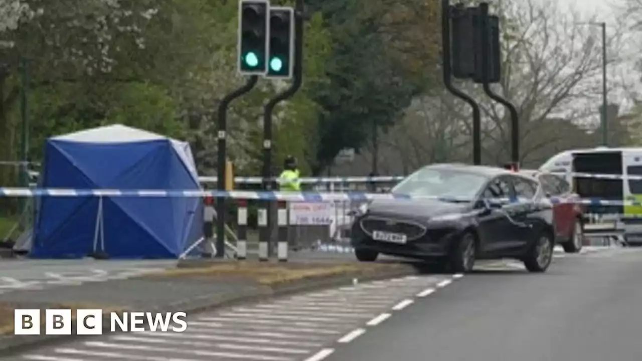 Castle Bromwich: Man stabbed to death after car rammed