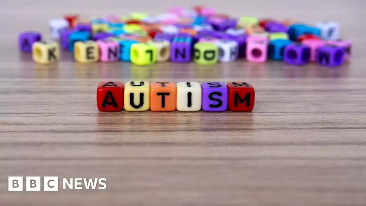 Autism: Stalled plans for NI autism job 'hugely frustrating'