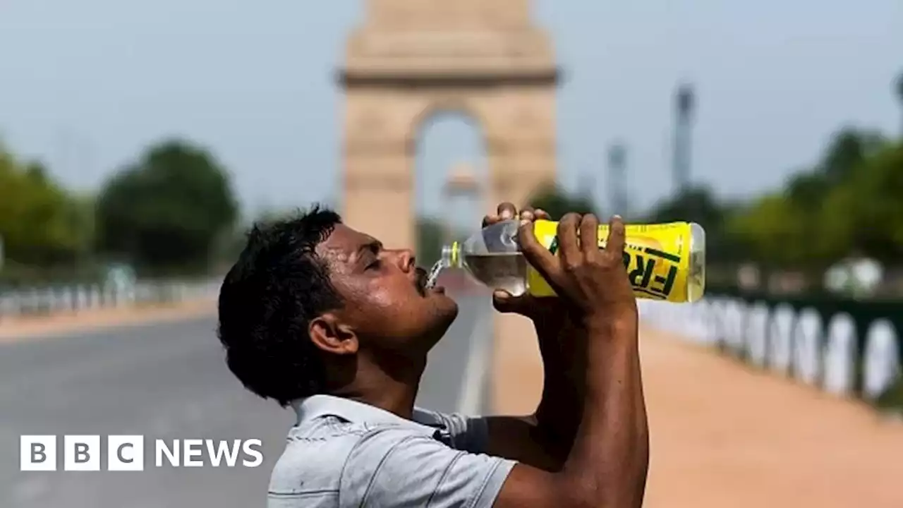 Summer: Why heat is killing thousands of people in India