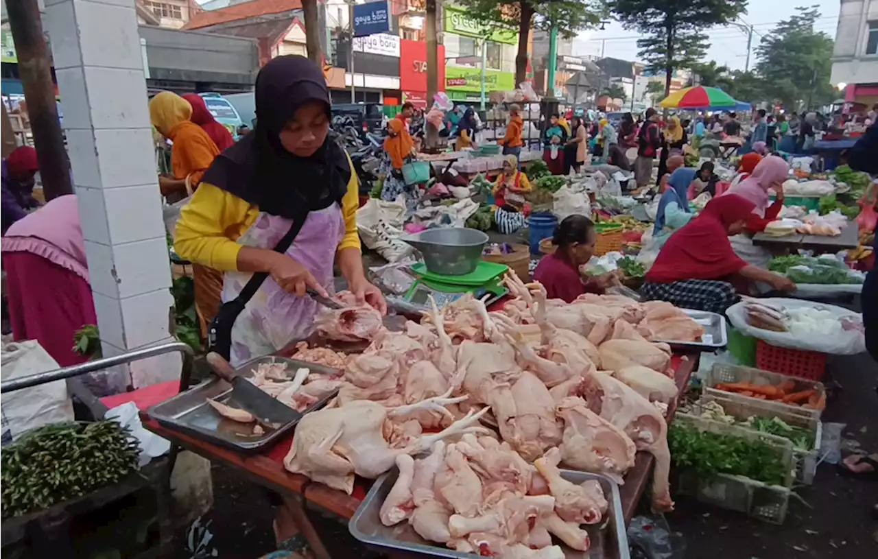 Harga Ayam di Salatiga Terus Melonjak, Konsumen Mengeluh