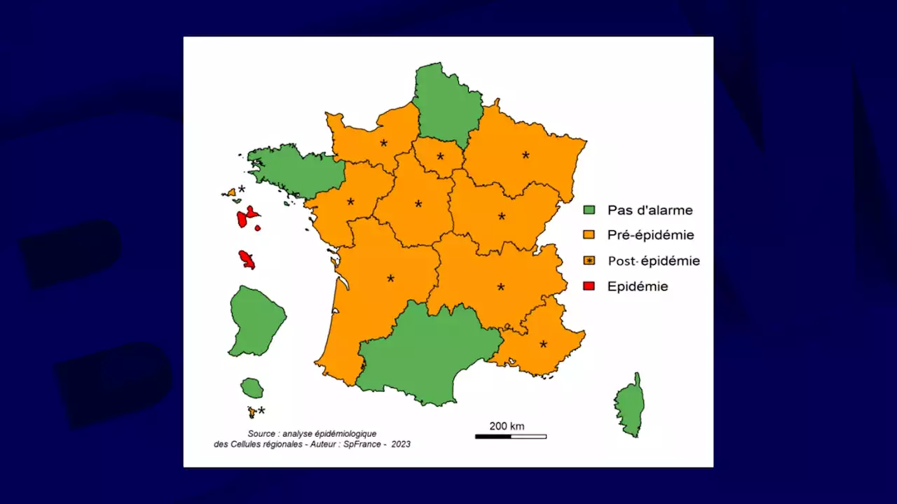 Grippe: la France métropolitaine sort du stade épidémique