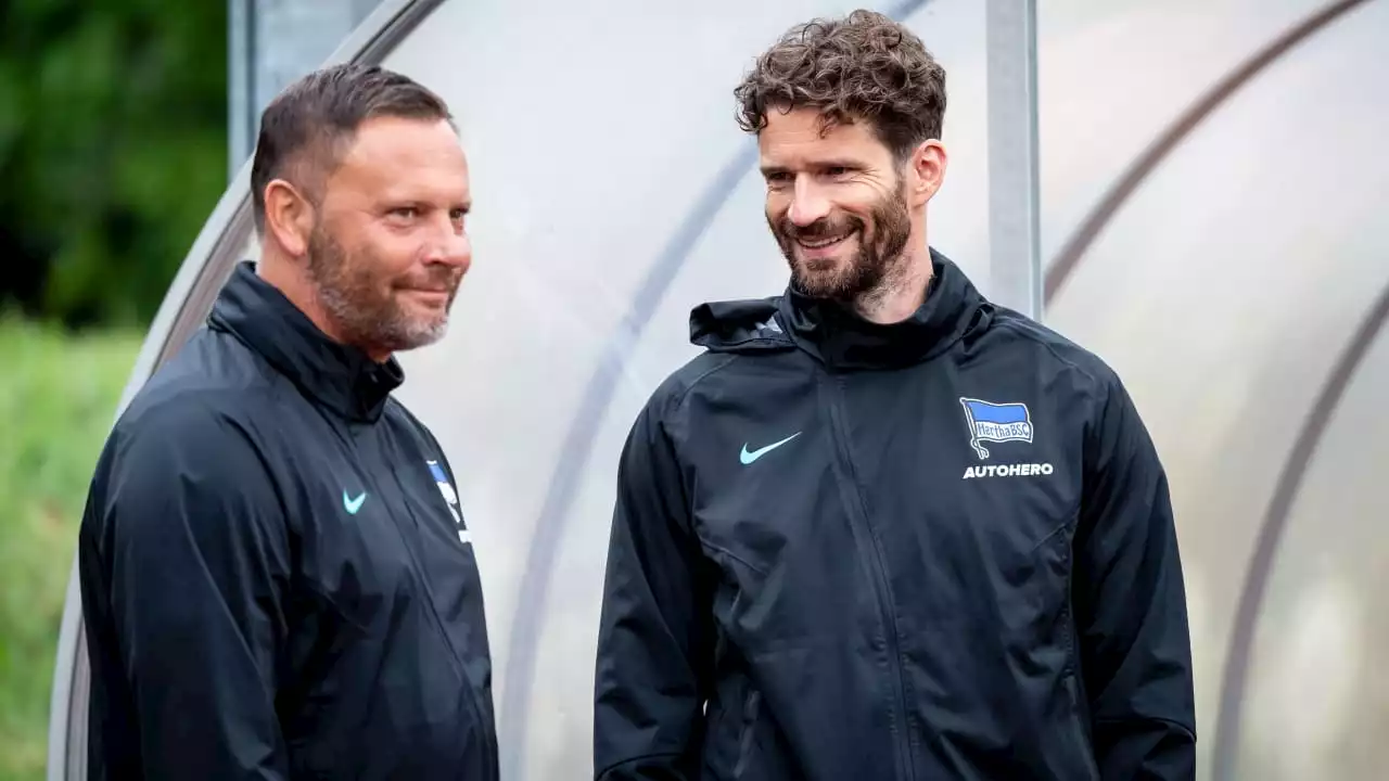 Hertha BSC: Arne Friedrich erklärt, wie Retter-Trainer Pal Dardai tickt