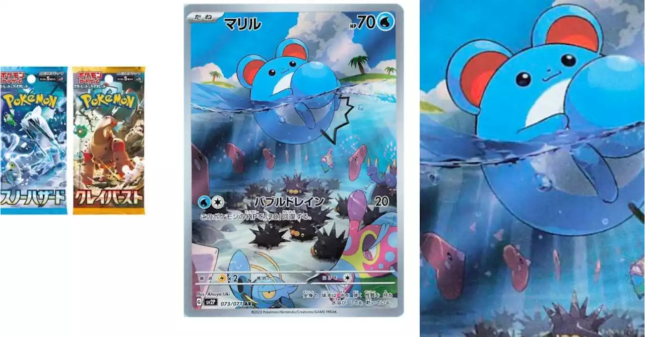 Pokémon TCG Japan: Snow Haard Preview: Marill Illustration