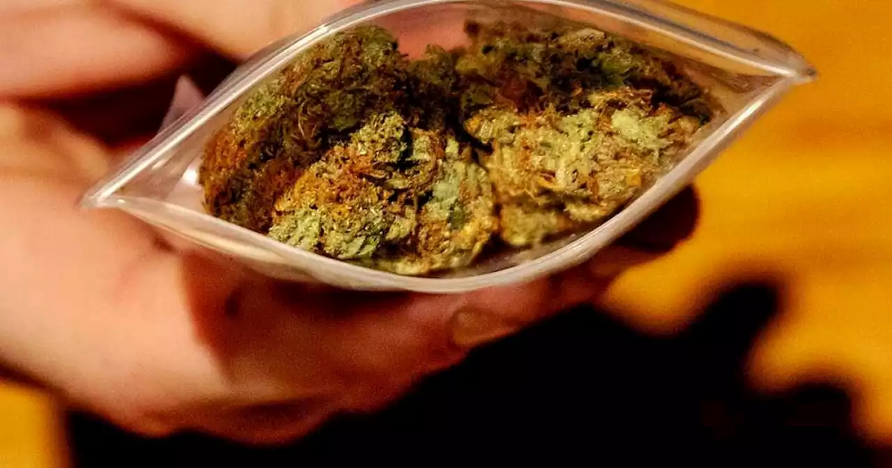 Uber Eats ya puede entregar domicilios de marihuana en Vancouver, Canadá