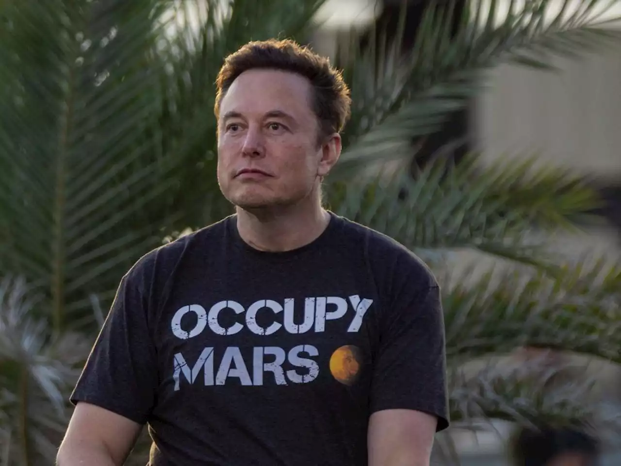 Elon Musk says birth control could spell the end of humanity