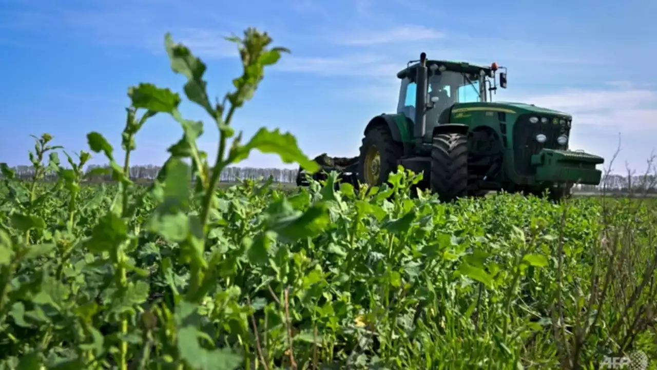 EU pledges more cash in Ukraine grain standoff, Bulgaria bans imports