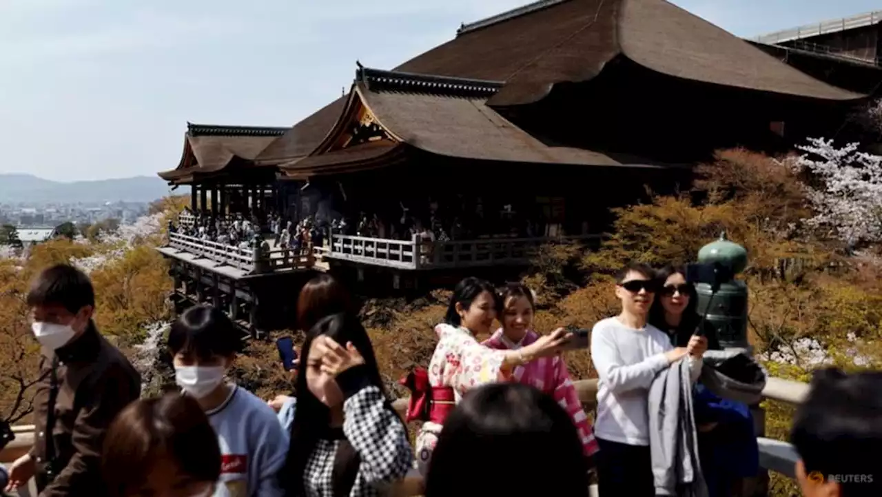 Japan's March visitors at post-COVID high, lured by cherry blossoms