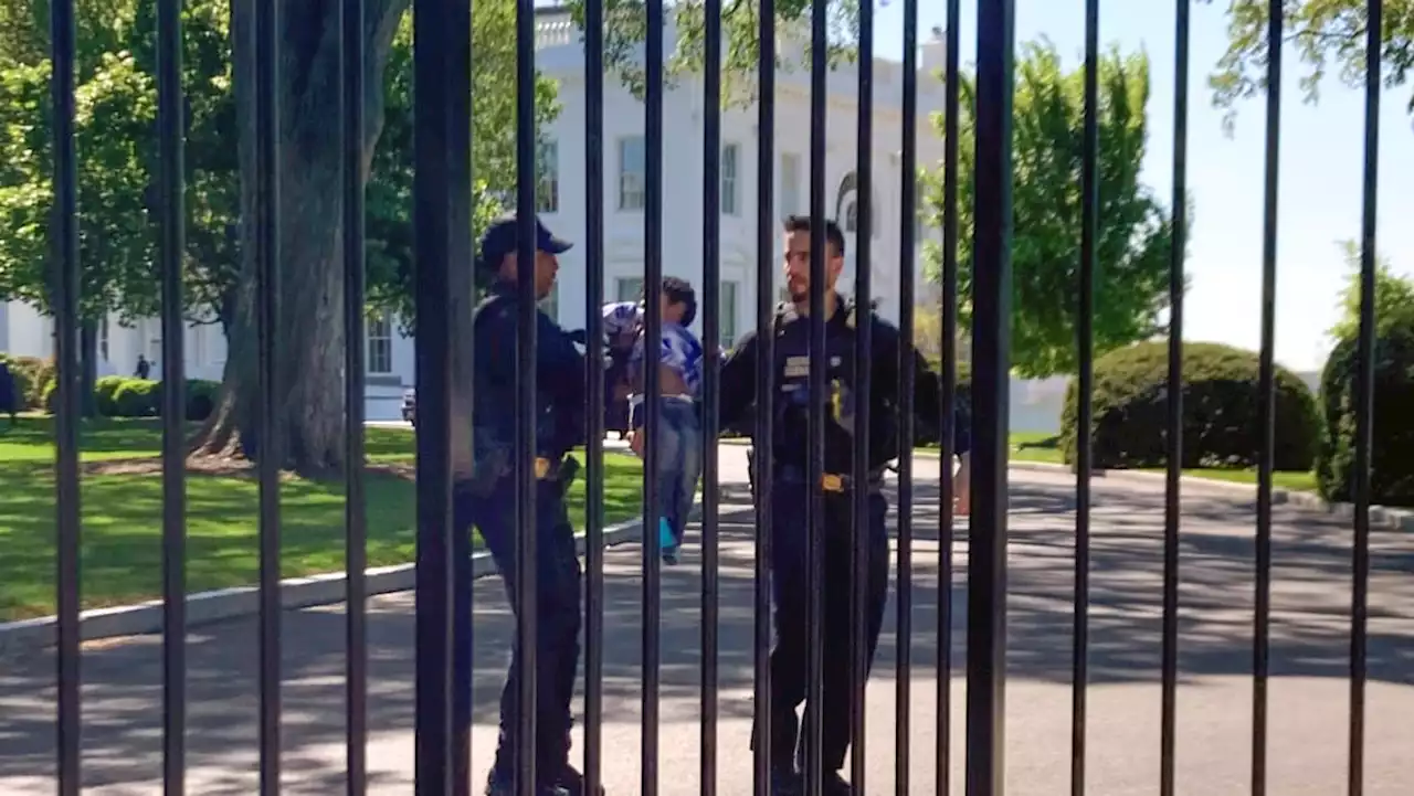 Littlest intruder: Toddler crawls through White House fence