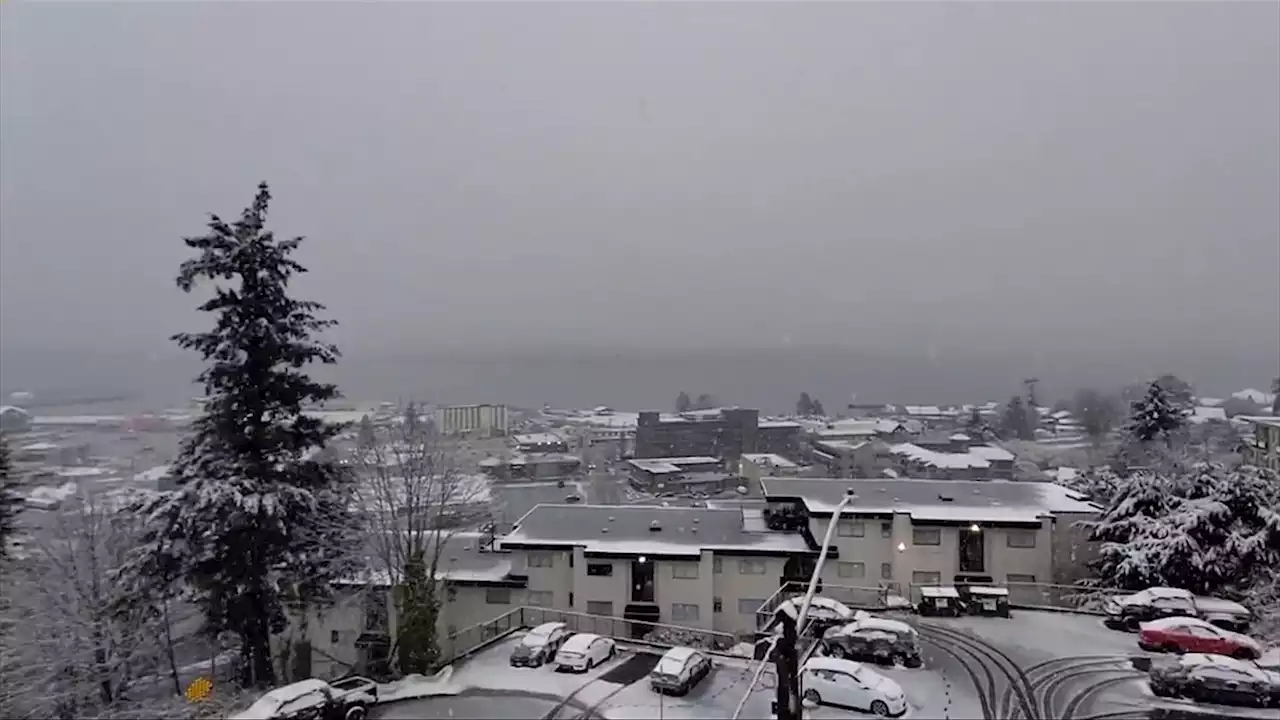 More spring snow catches Campbell River off-guard: 'This is nuts'