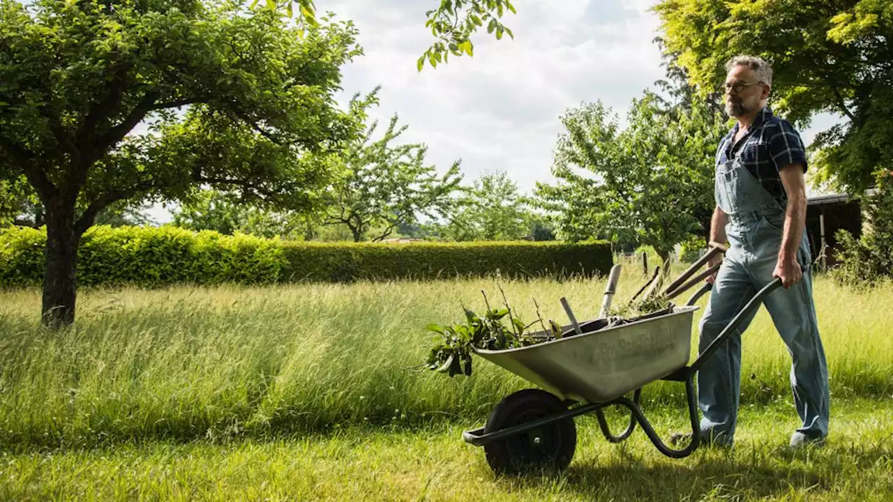 Kostenpflichtige Gartenpflege kann Steuern mindern