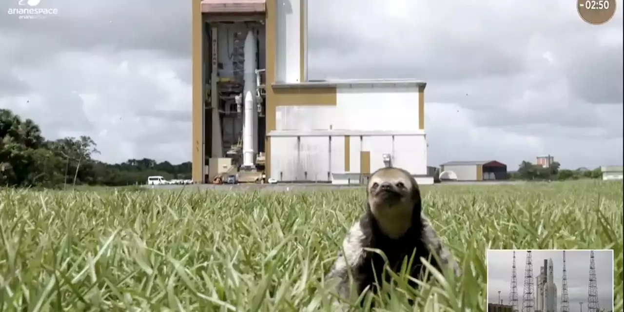 Sloth steals the show during European rocket launch to Jupiter