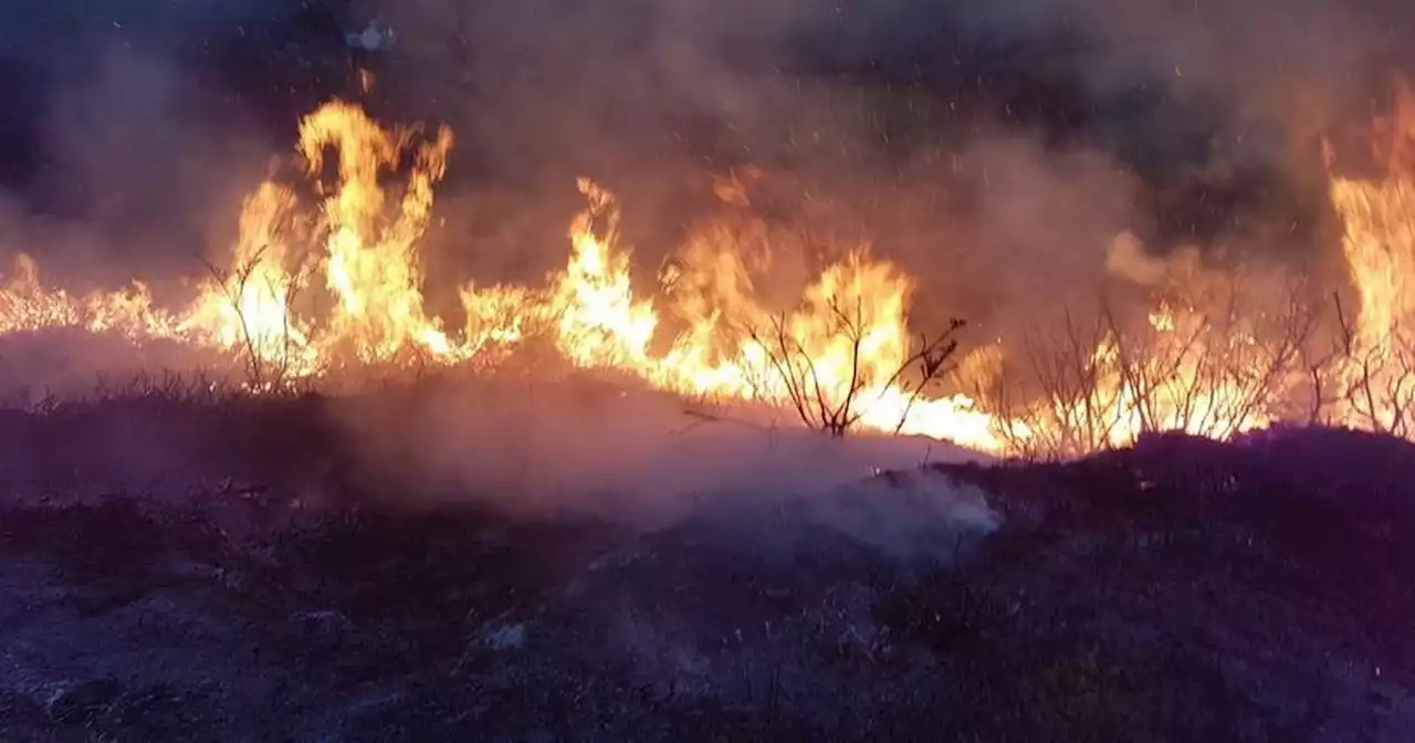 Extreme wildfire risk warning for parts of Scotland amid mini-heatwave