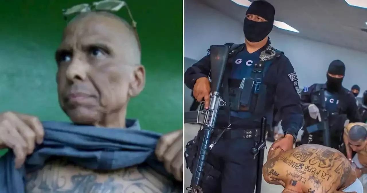 'Most wanted' leader of 'world's most brutal gang' found using fake ...