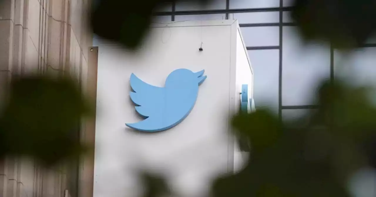 Twitter policy no longer explicitly bans some anti-transgender tweets