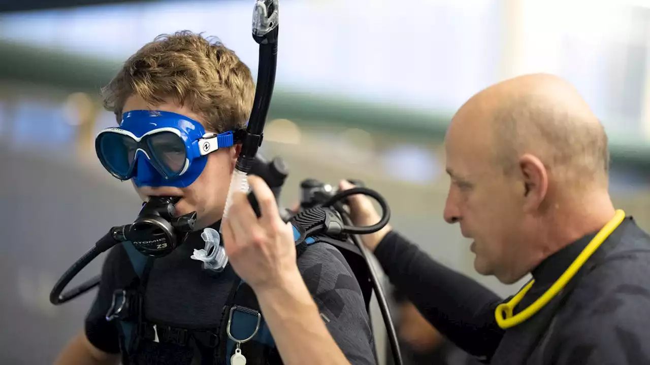 'They're not tourists:' Wellington school students diving into international study