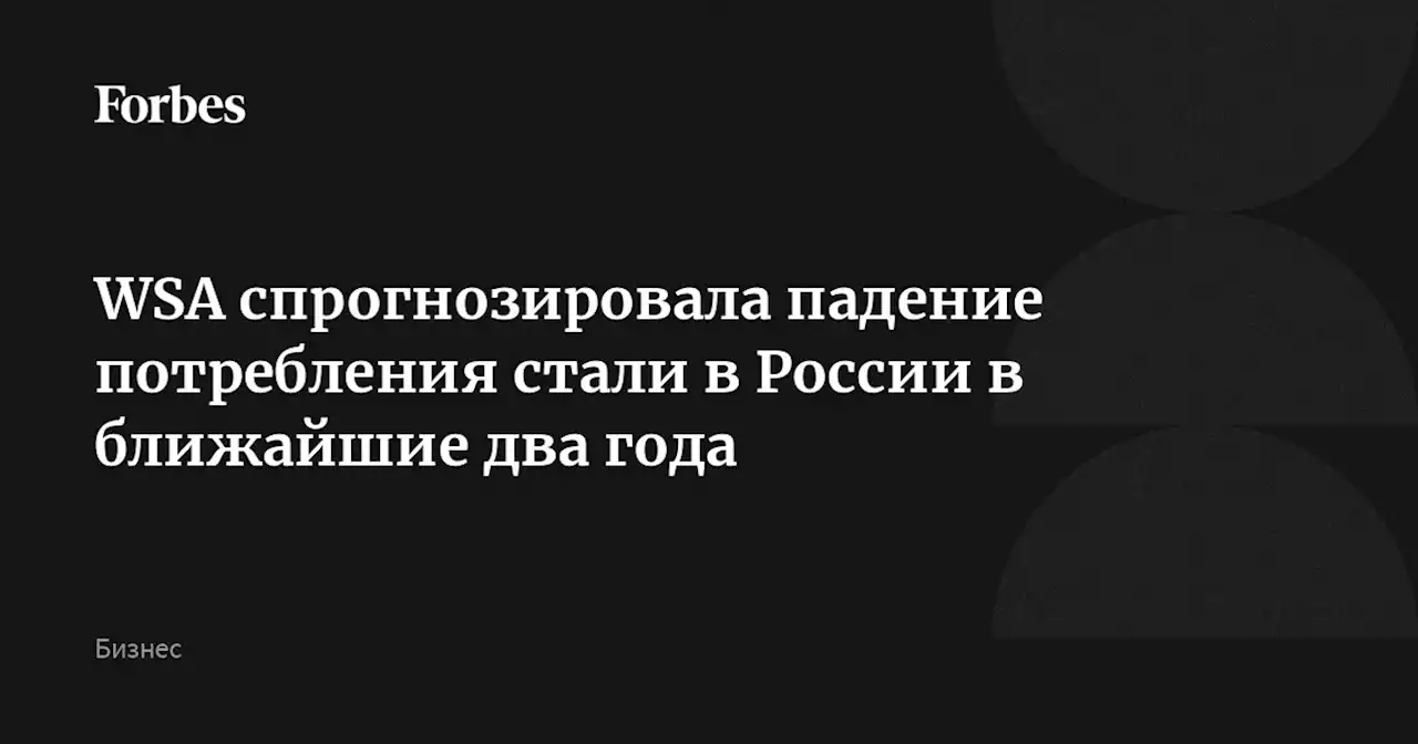 WSA спрогнозировала падение потребления стали в России в ближайшие два года