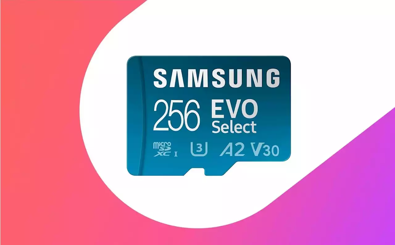 Seulement 22 € pour cette microSD Samsung 256 Go parfaite pour Steam Deck ou Nintendo Switch