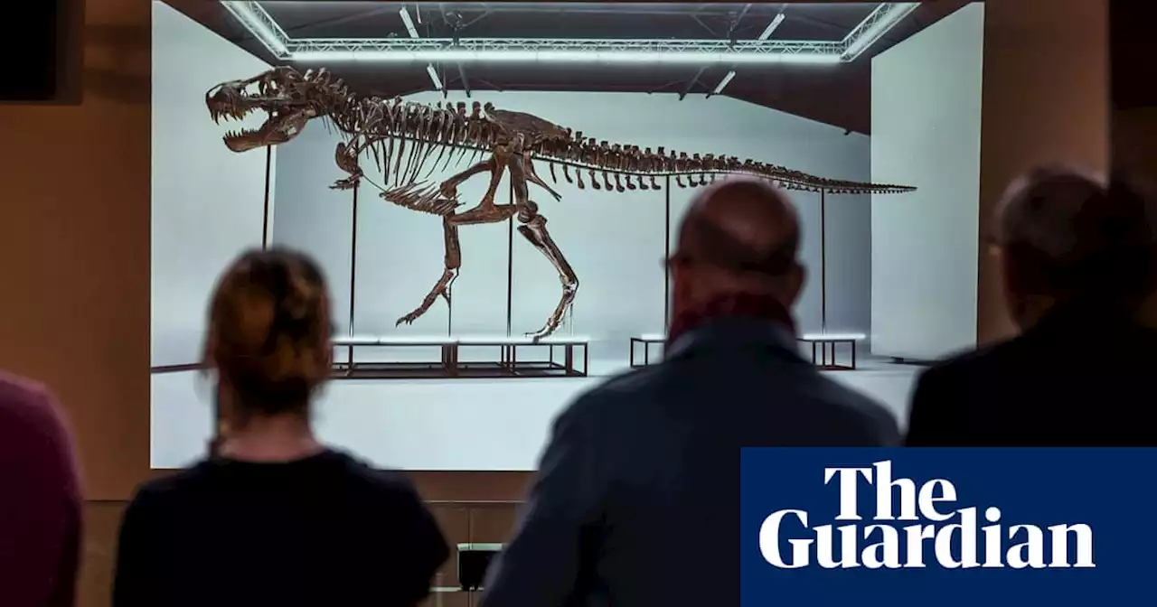 ‘Trinity’ the T-Rex skeleton sells for $6m to private collector