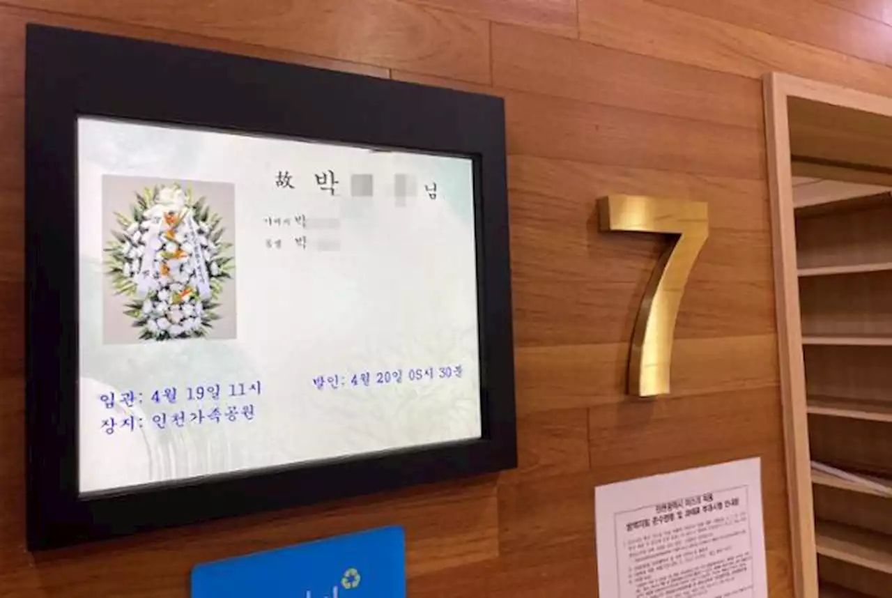 육상 국대서 애완견 전문가로 '인생 2막' 꿈꿨지만... 전세사기에 무너졌다