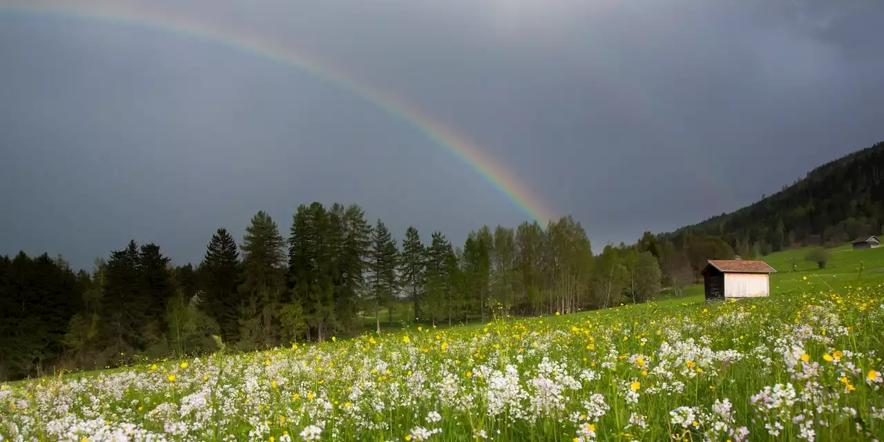 Störung wirbelt Wetter in Österreich durcheinander