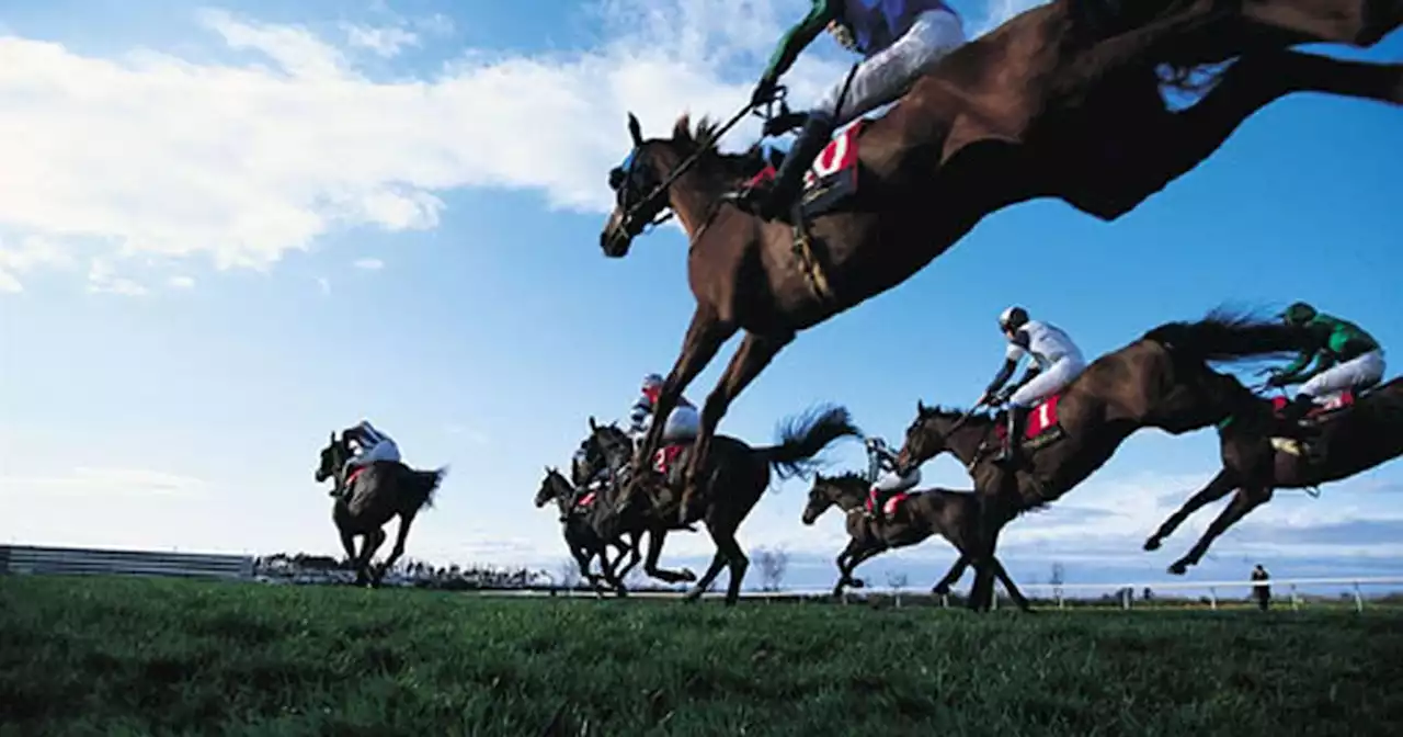 Racecourse bookmaker who claimed that being barred from taking bets indoors was ‘apartheid Irish style’ told he is ‘mistaken’ in discrimination claim