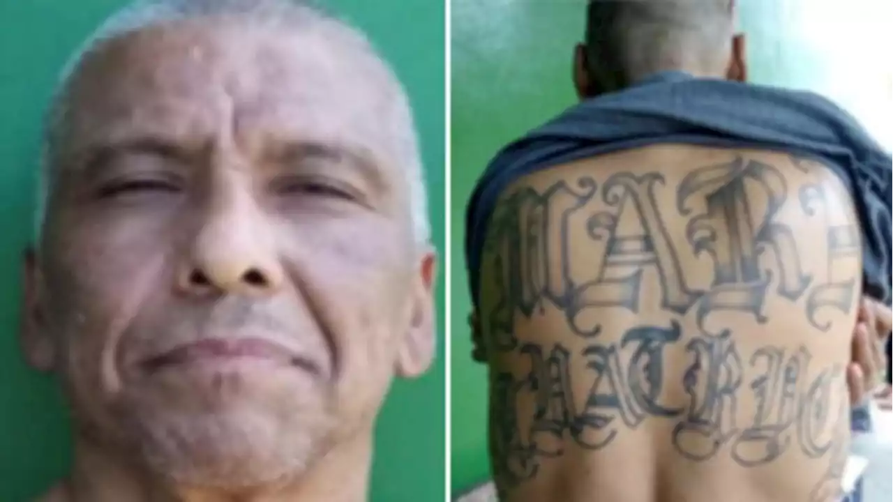 Alleged Mara Salvatrucha gang leader arrested in Mexico City after being wanted in Texas