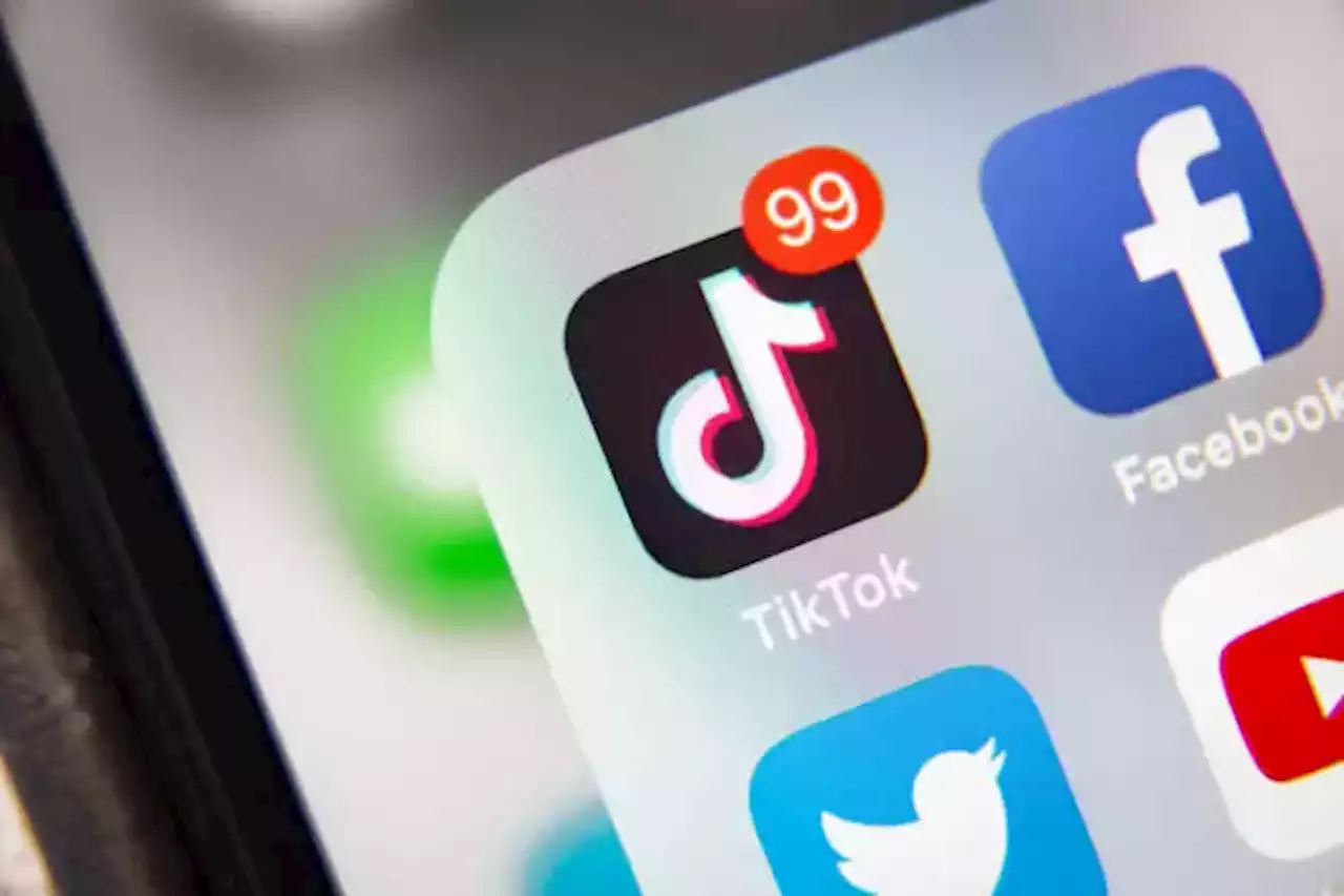 TikTok, la red social que usan las personas para buscar destinos turísticos