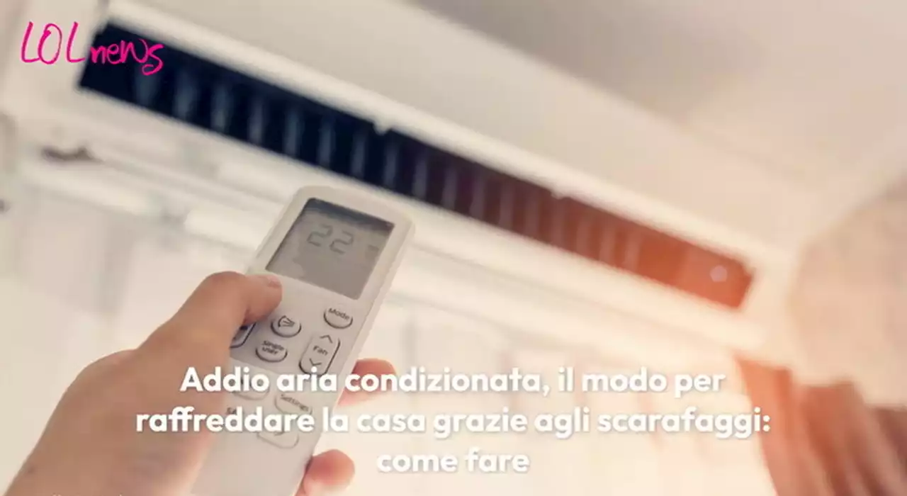 Aria condizionata addio, il modo per raffreddare la casa grazie agli scarafaggi: ecco come fare