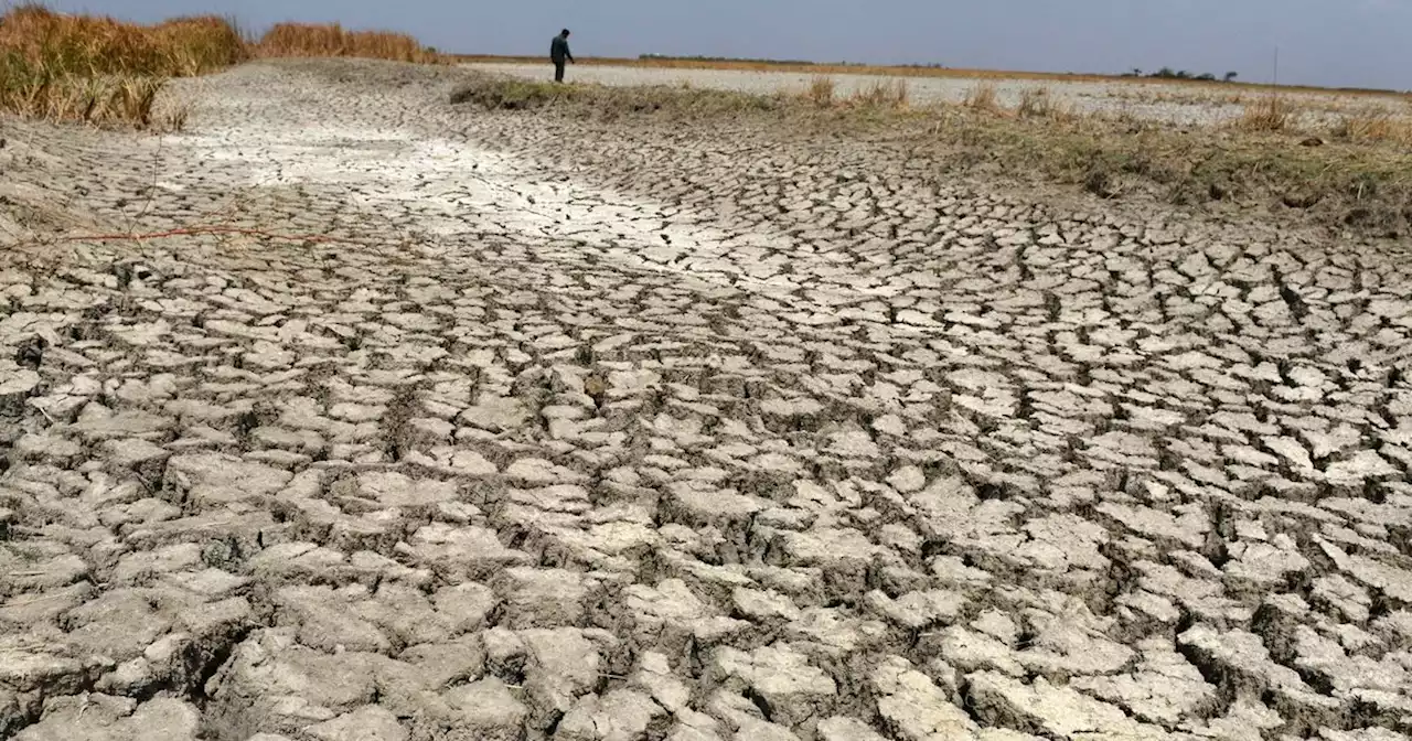 Climatosceptiques : pourquoi 37 % des Français n'adhèrent plus aux discours du Giec