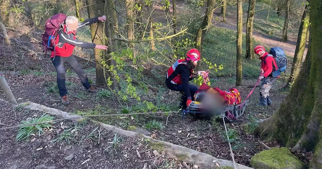 Woman, 85, rescued after falling down ravine in Darwen woods