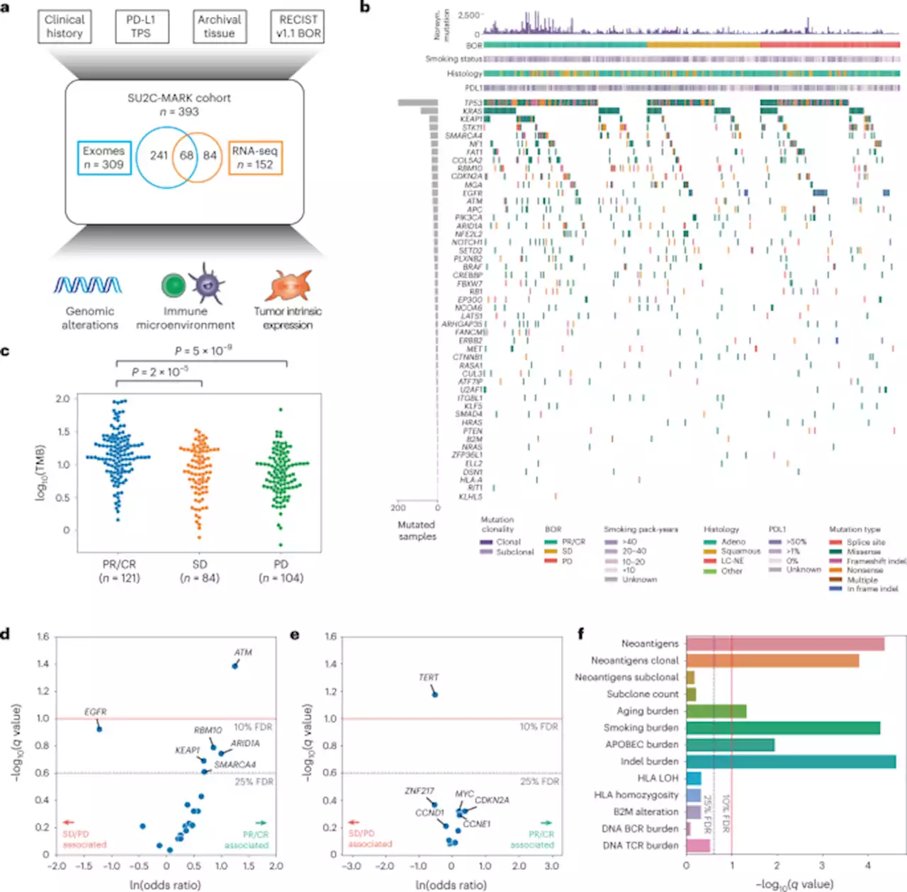 Genomic and transcriptomic analysis of checkpoint blockade response in advanced non-small cell lung cancer - Nature Genetics