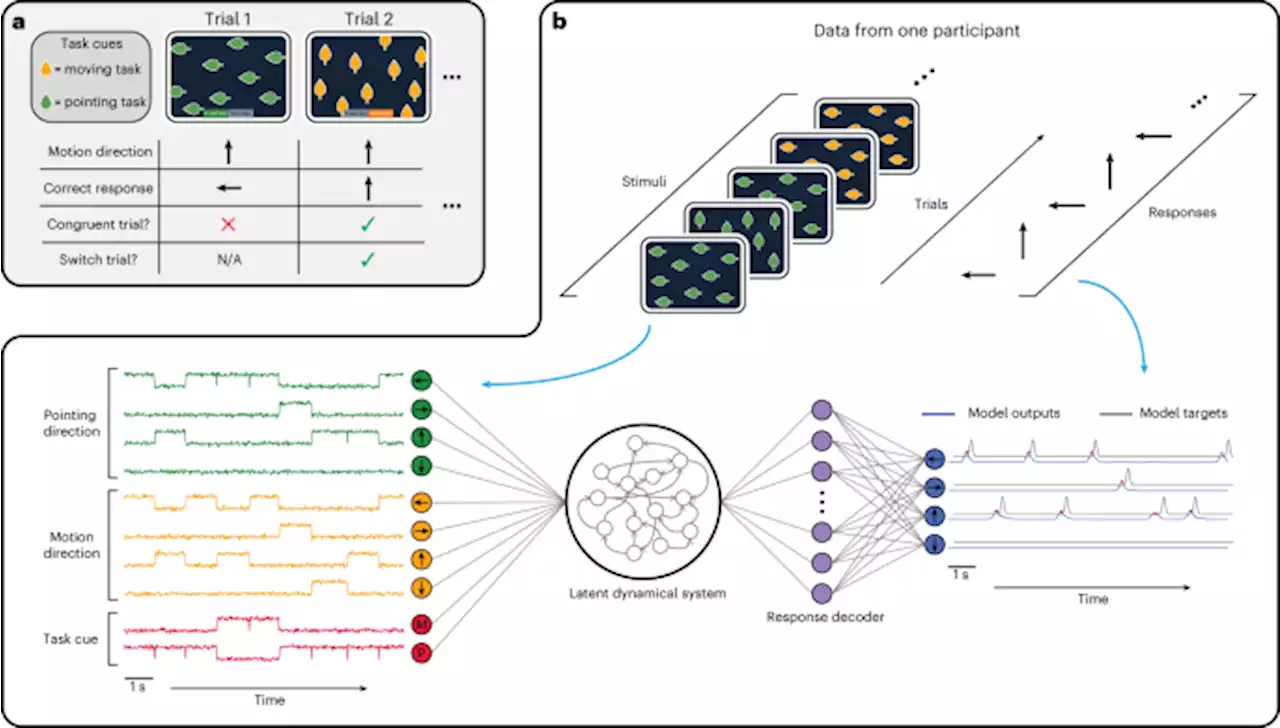 Modelling human behaviour in cognitive tasks with latent dynamical systems - Nature Human Behaviour