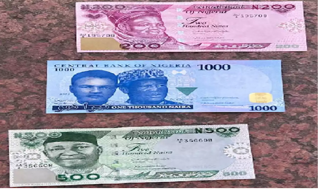 Currency in circulation rises by 71% to N1.6tn – CBN - Punch Newspapers