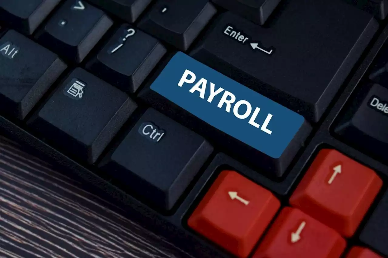 Best payroll software for South African businesses