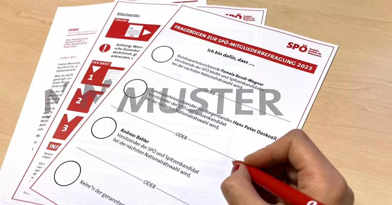 Fragebogen für SPÖ-Mitgliederbefragung bietet vier Optionen