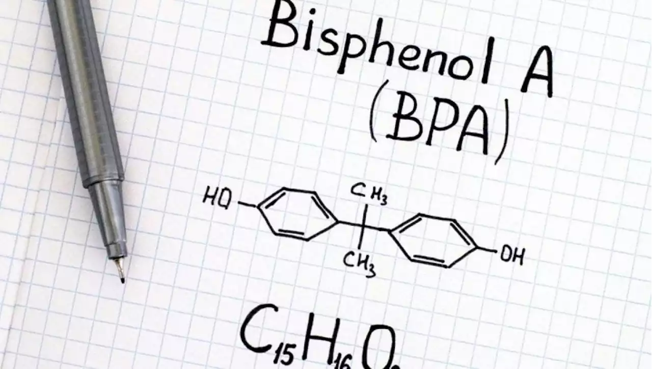 Allarme Efsa, bisfenolo A nei cibi è rischio per la salute