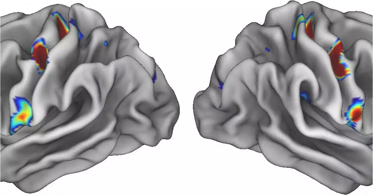 Scientists identify mind-body nexus in human brain