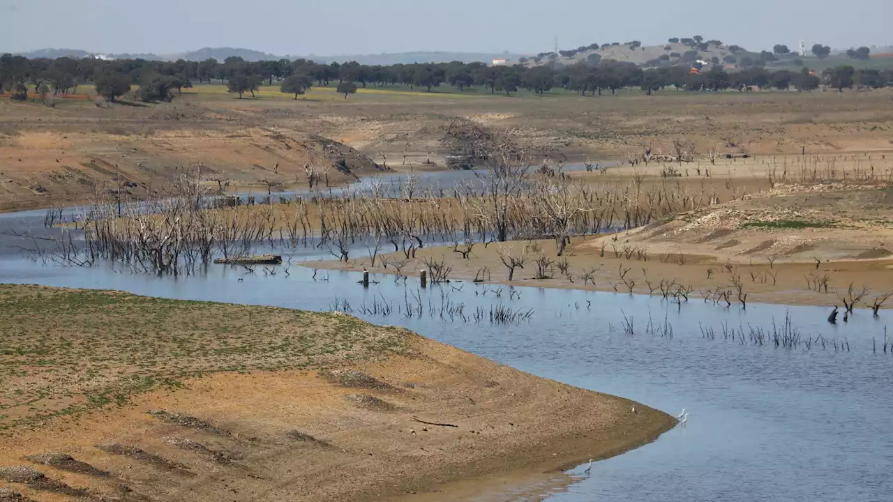 España estudia más ayudas para paliar los efectos de la sequía en el campo