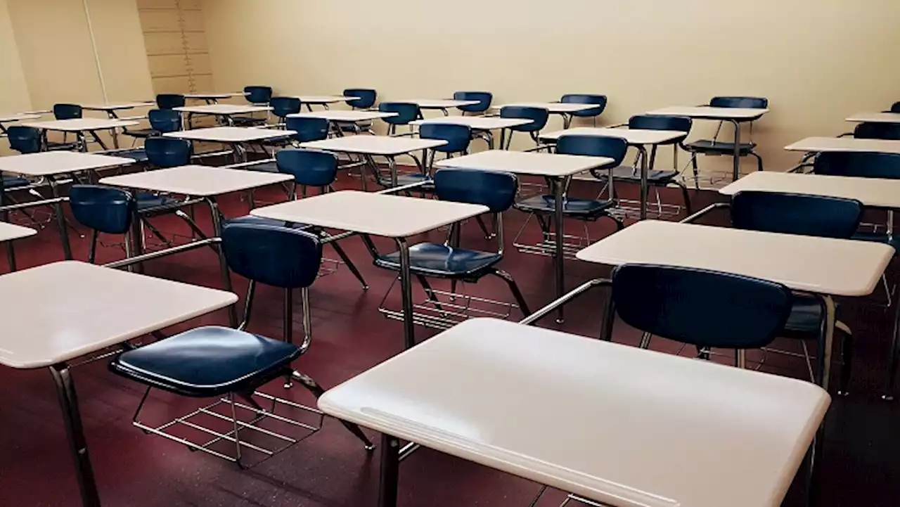 Lobby group concerned about Gauteng learner dropout numbers - SABC News