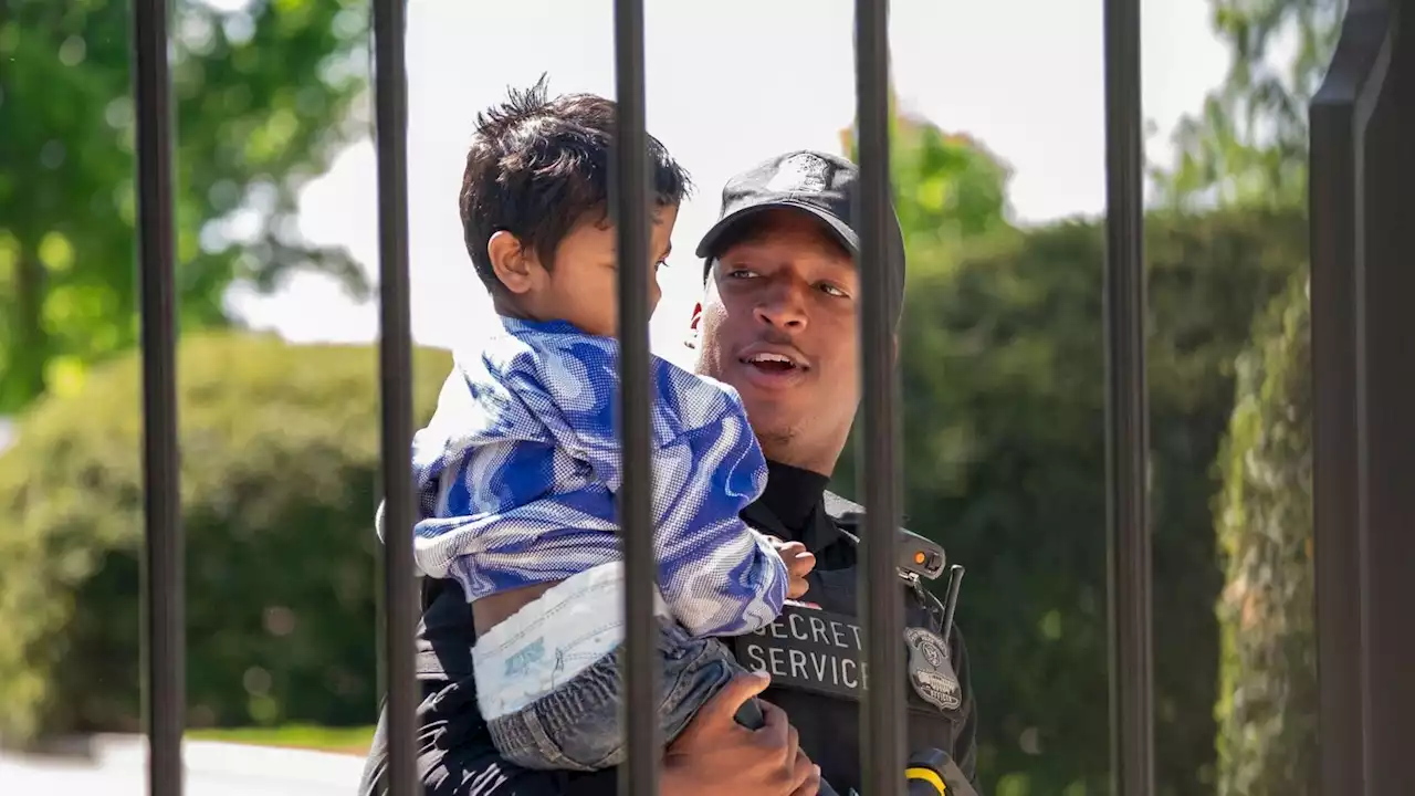 Toddler crawls through White House fence to become first 'intruder' since Secret Service tightened security