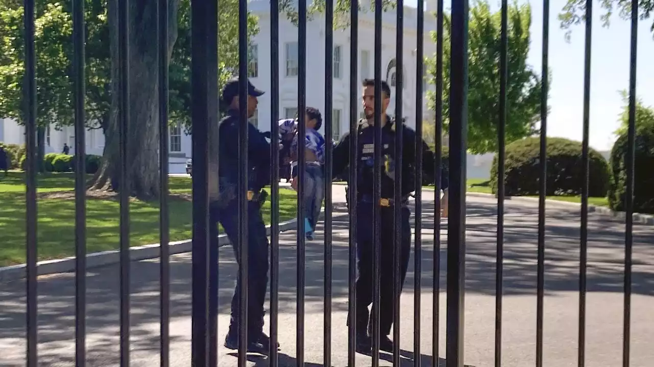 Littlest intruder: Toddler crawls through White House fence