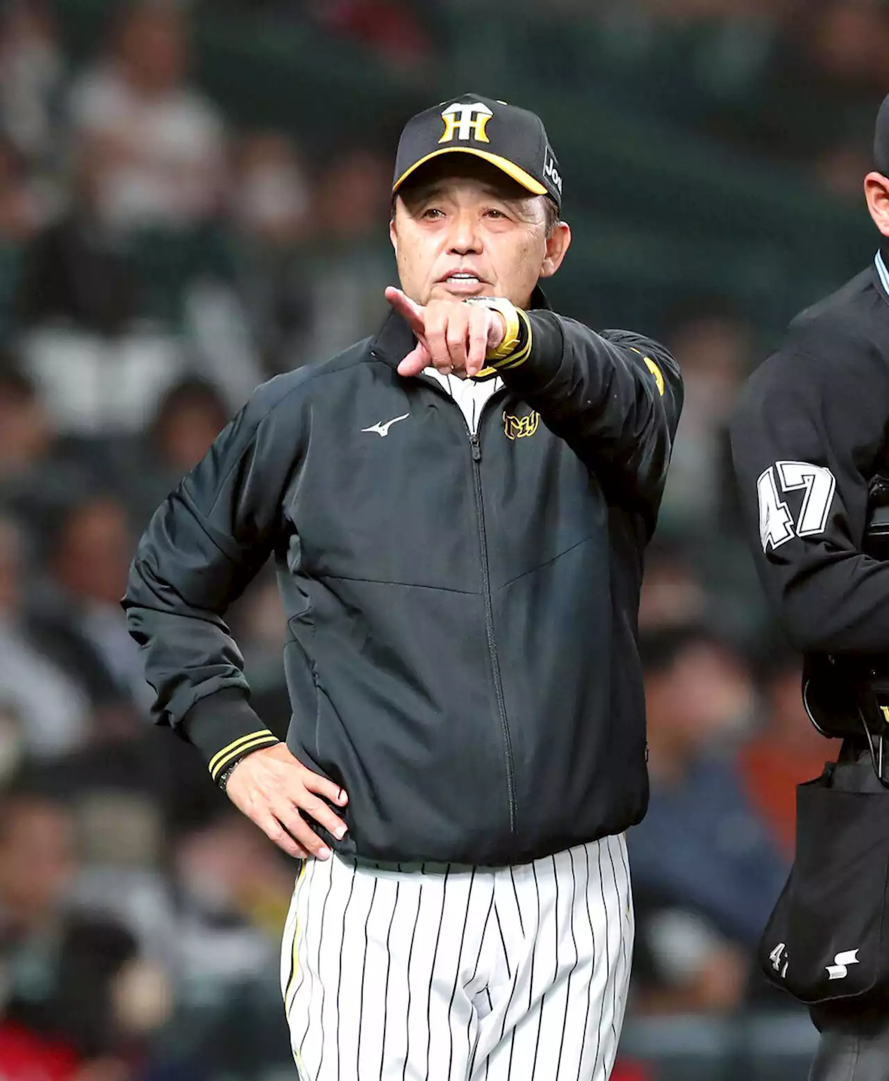 【阪神】復調兆しの佐藤輝明に岡田彰布監督「（打率は）身長ぐらいか。もうちょっと上がってると思うで」一問一答
