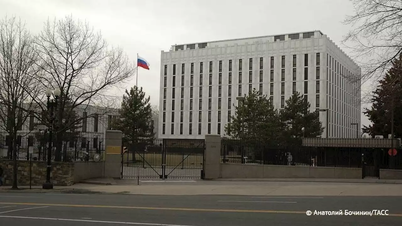 Посольство России назвало манипуляцией попытки прессы США представить Гершковича жертвой